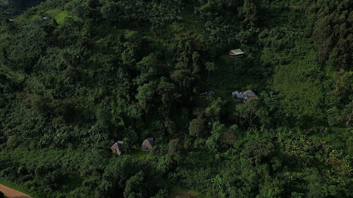 3-Day Ruboni Cultural Village  & Rwenzori Adventure